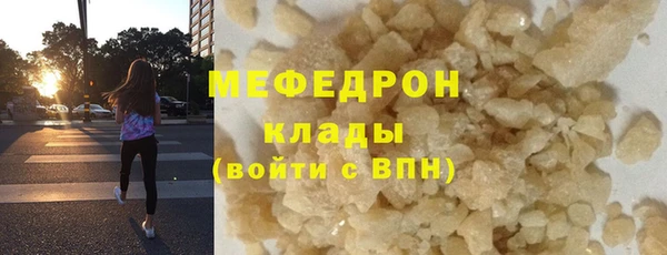 прущие грибы Абаза