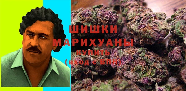 прущие грибы Абаза