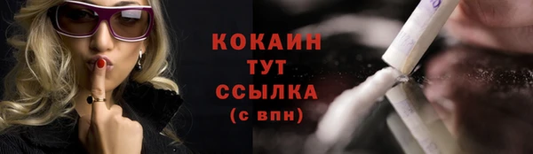 прущие грибы Абаза