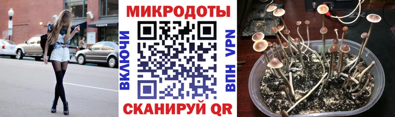 ссылка на мегу как зайти  Ак-Довурак  площадка как зайти  Псилоцибиновые грибы мухоморы 