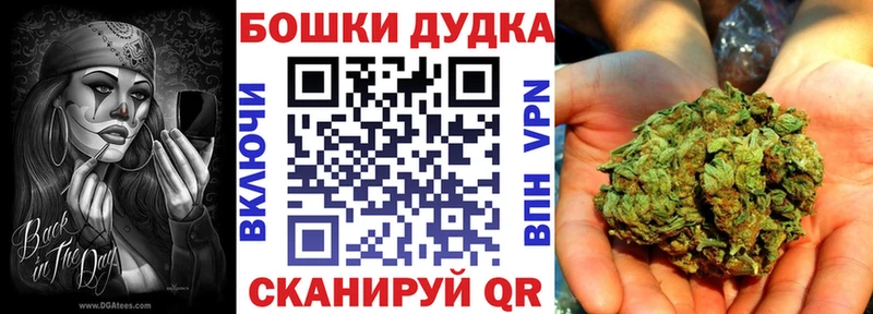 Бошки Шишки семена  Ак-Довурак 